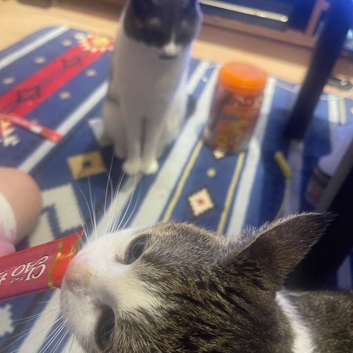 9b724da1 f6cb 4e3e 900c 915e213c3dfb 1632216387632