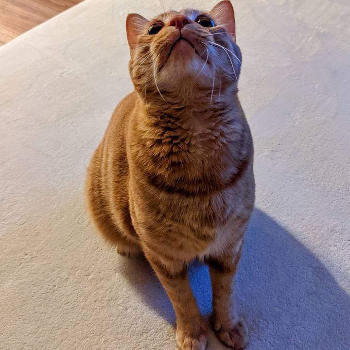 9b7252d2 78eb 484c a15d 1bfd6cc8ed17 1640865668355