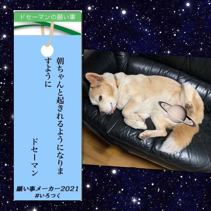 9b725506 0086 4b4c a693 54a73fb53abf 1625700143015