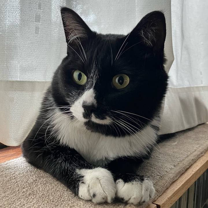 9b72a571 8ce1 4e3b b8f8 0d877b018751 1758523904312