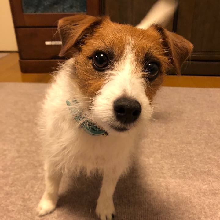 9b72c0ad 6c7b 4225 9407 bb61f382b9c2 1571483951832