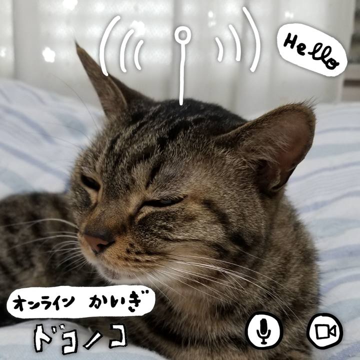 9b730d5d 4e3e 4b1e a69e 5040ba25ef4d 1591242782120