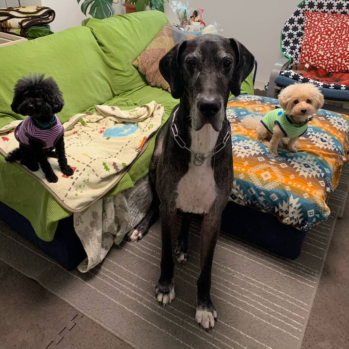 9b731f98 60a9 4816 8b10 17acffc34f3f 1571266484878