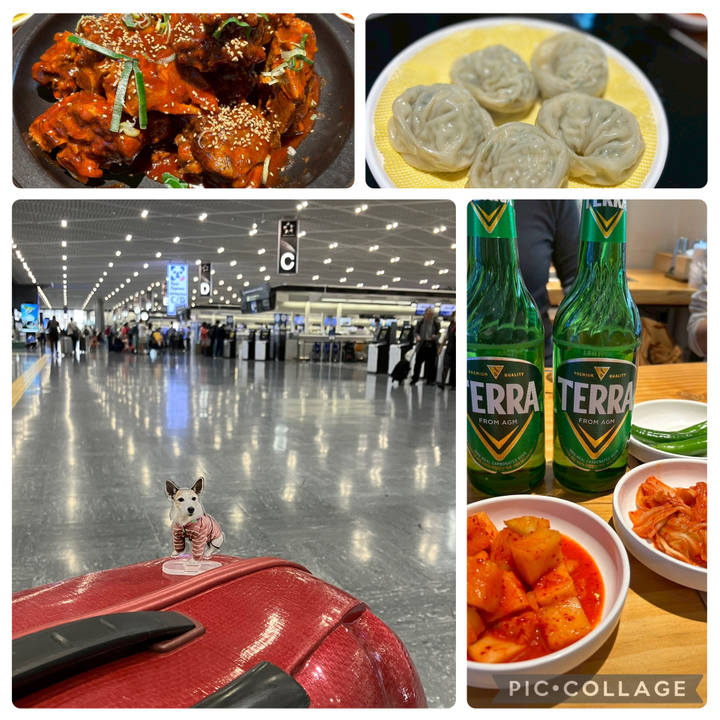 9b73220b 7d69 4d1e bed1 12590bfeef27 1745541520631