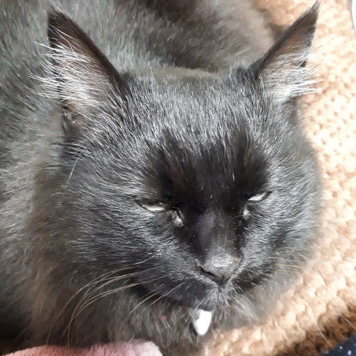 9b734e0d 9721 4227 a15a 825a92f7058a 1521664338267