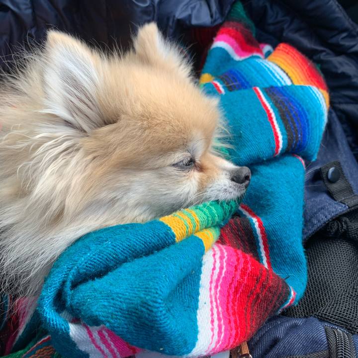 9b736b10 c614 4eae 8f28 63a486bcb0e4 1606612170297