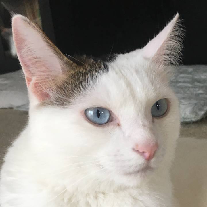 9b7398fb 873d 4bf4 b53a 58947daee5b3 1561804603650