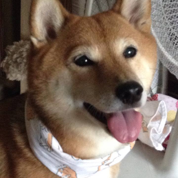 9b739b46 20ea 4155 b820 d5fd2183c618 1532652493555