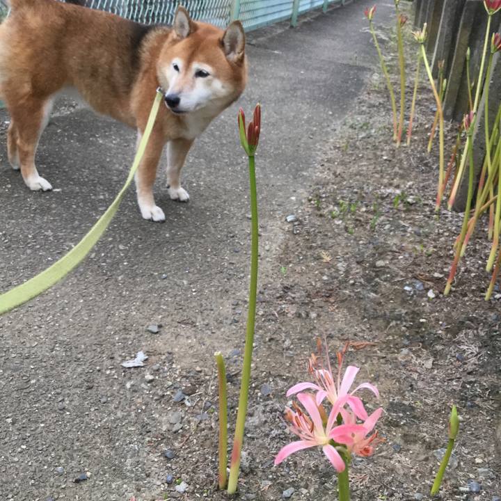 9b739d77 5f1c 4117 a8d1 eac3eec4ff67 1601543609788