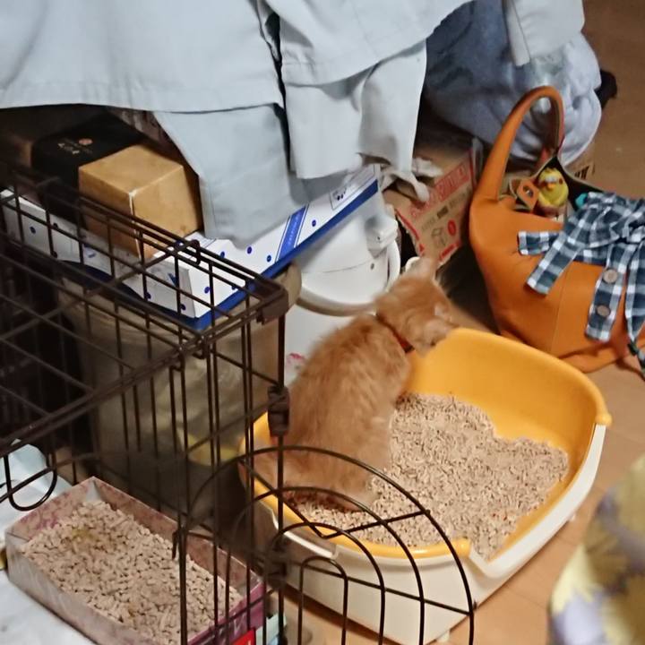 9b73eab9 620b 47a4 b53d 3af77b11d563 1628631367207