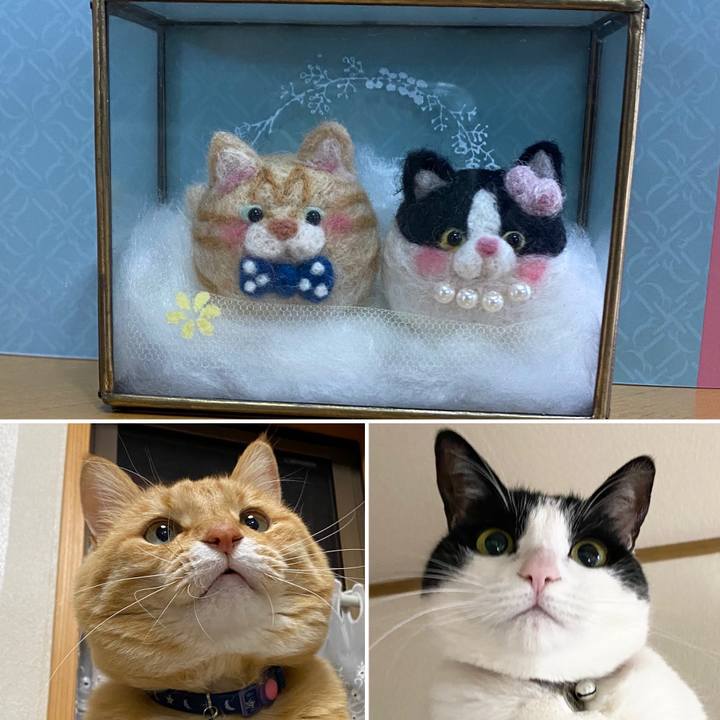 9b742f4b 8a40 488b 9d0b 69307cf85eb1 1614732851771