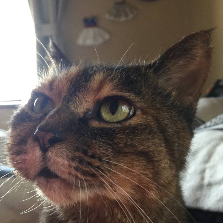 9b743041 483c 468e 9b6f a97e48daa756 1592382887516