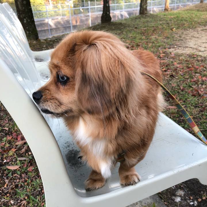 9b743234 751b 4459 82e9 bdbd3d7a08ad 1511993603838