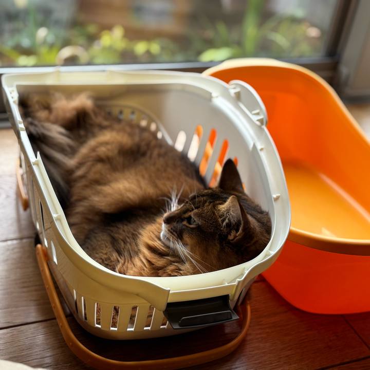 9b7435b2 baeb 47fd a0b1 760b52ba347f 1758891640719