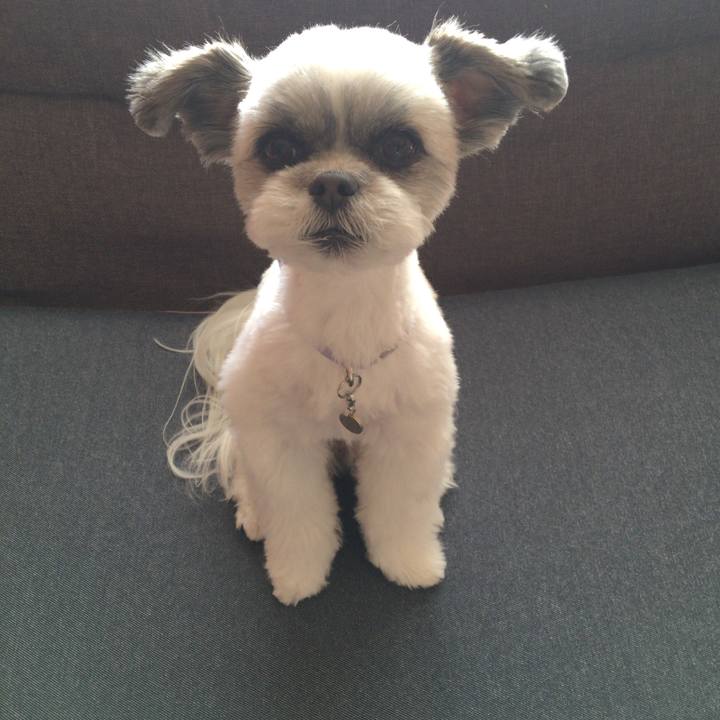 9b744611 e0e9 4835 923a a7a569ce1c60 1519104178034