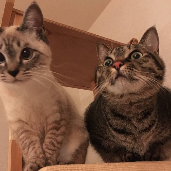 9b74710b 3811 48a8 81e2 34ac3e82ed02 1548417544533