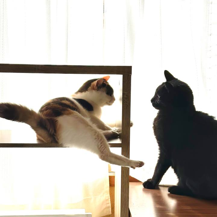 9b747ae1 fb2c 4406 8c32 8ce20002d04f 1699235920668