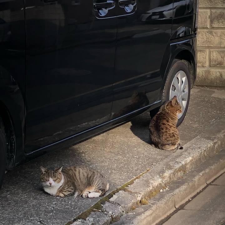 9b747cc2 5b2e 4a90 aa02 6d32400081b9 1617082996479