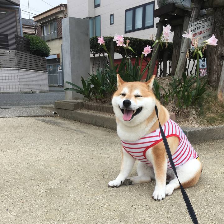 9b74c163 5f59 448e 8cdf 3fc7cd5822a4 1567470194822