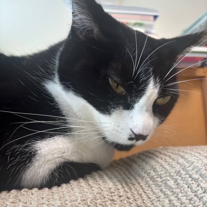 9b74c499 461b 432b a035 5179f41421e9 1759713840808