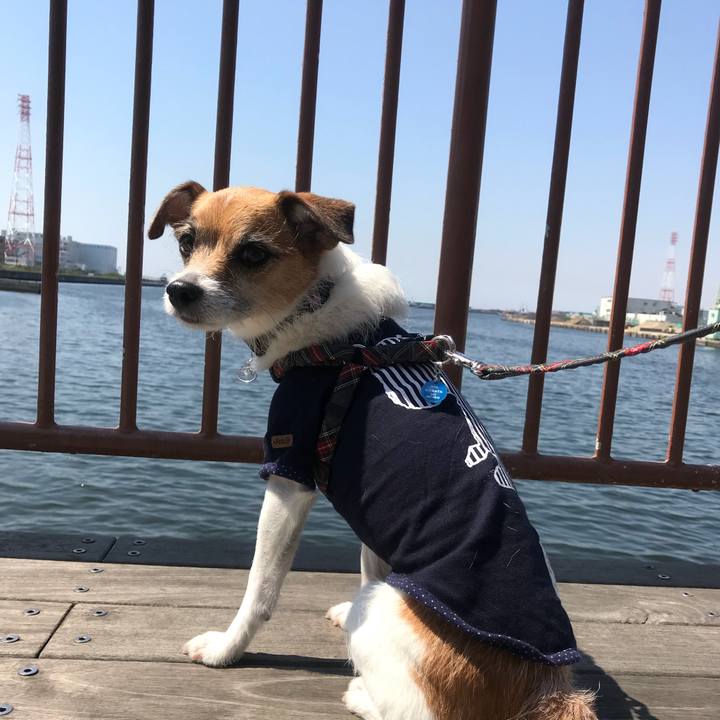 9b74d2f1 41a2 4093 9376 261a4a550439 1525482248649