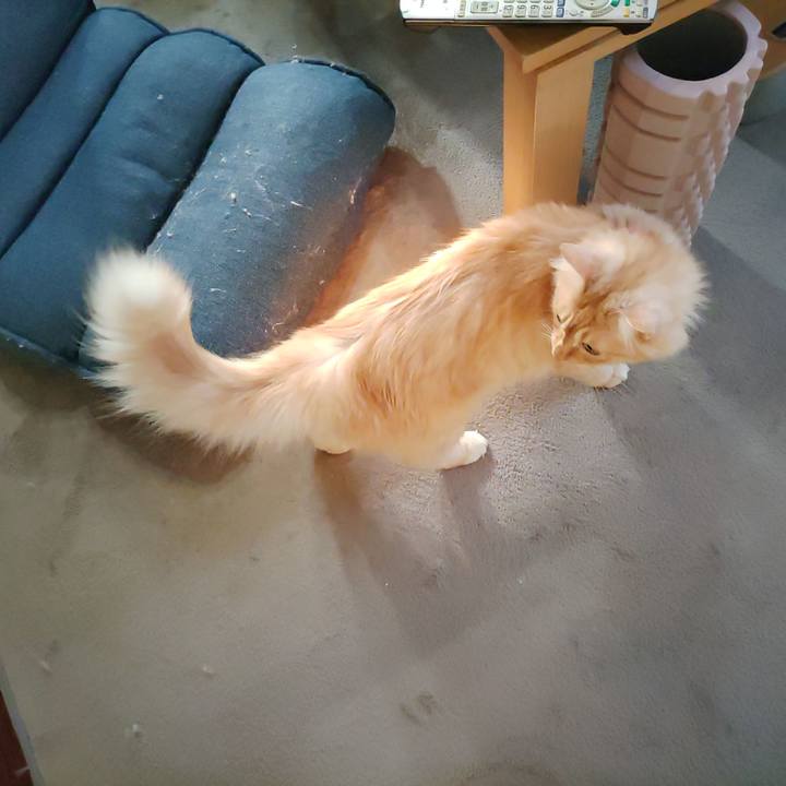 9b74e424 34c5 4a7c a15c 4d81ac9e8e11 1664491598333