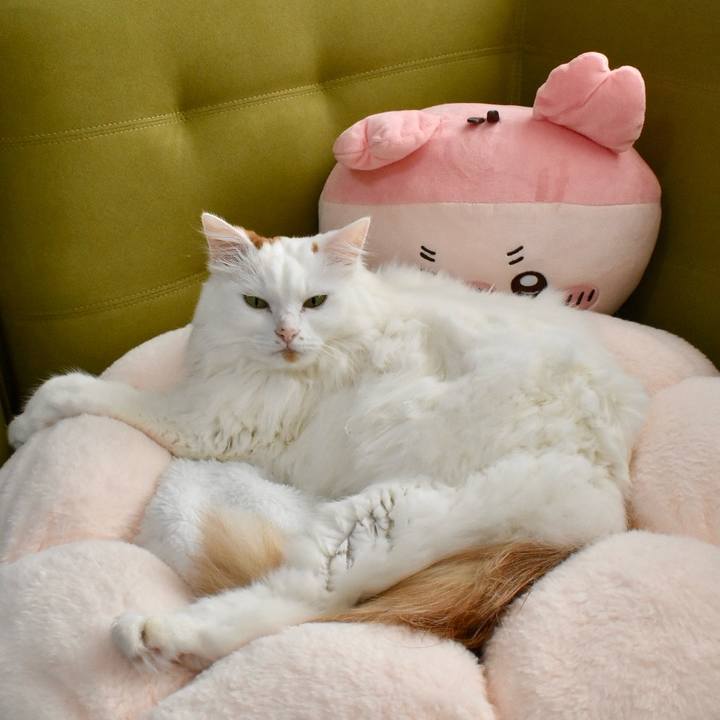 9b75251d 3ea0 474e b231 6ae817dc51d6 1762313950481