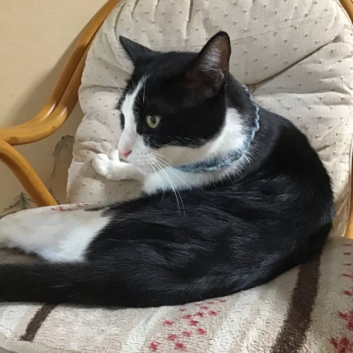 9b7535a5 005b 491f 9831 dd2f11b6598c 1663319982611