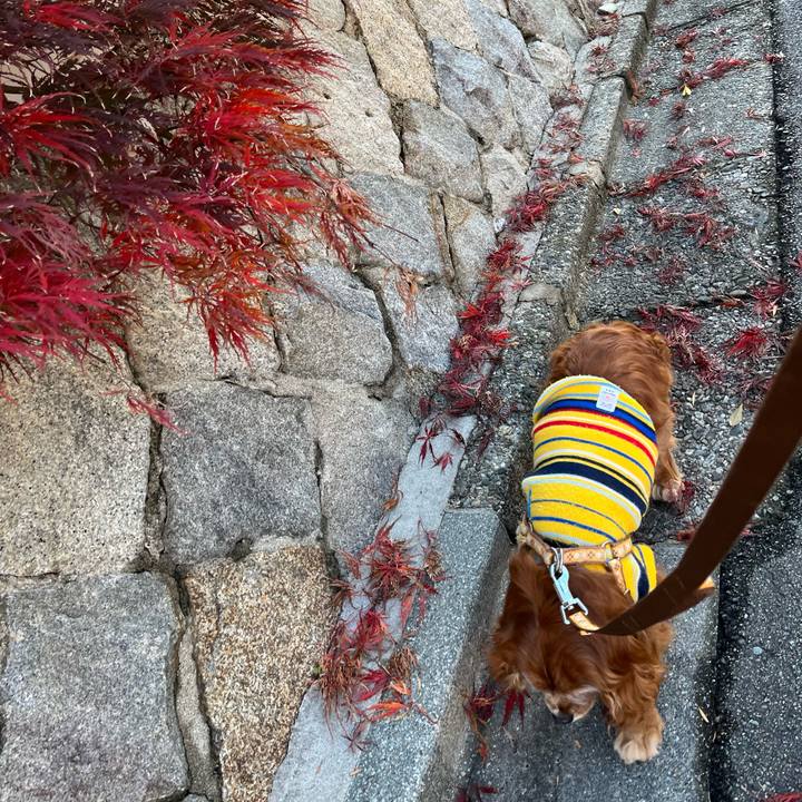 9b754625 c02b 4fef 9f34 a3d86535b897 1764117878138