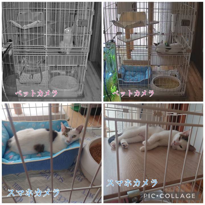 9b754a76 e0b8 4458 88f7 f7fbe9f9abc3 1689303370034