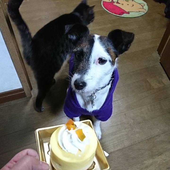 9b754f9a f551 464a b531 df5761e31740 1517314152405