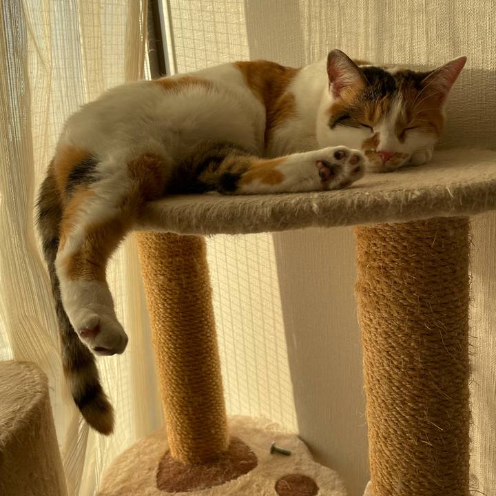 9b756c1b 6b21 4dff 9c0c 12eb1de3f6e0 1607509449168