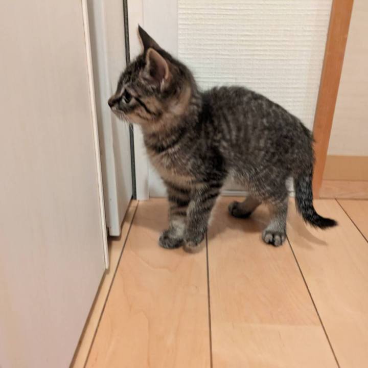 9b75a00e fe2c 4f7a 9a12 43ba41806333 1697844850274