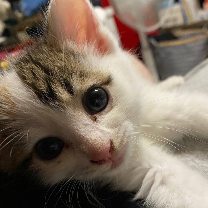 9b75d340 ce50 4f1a b5d0 06f70ca17a10 1589977149935