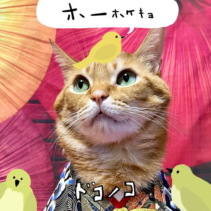 9b76160d 6e35 4f7e ad14 9dc1b3cb1576 1710992579059