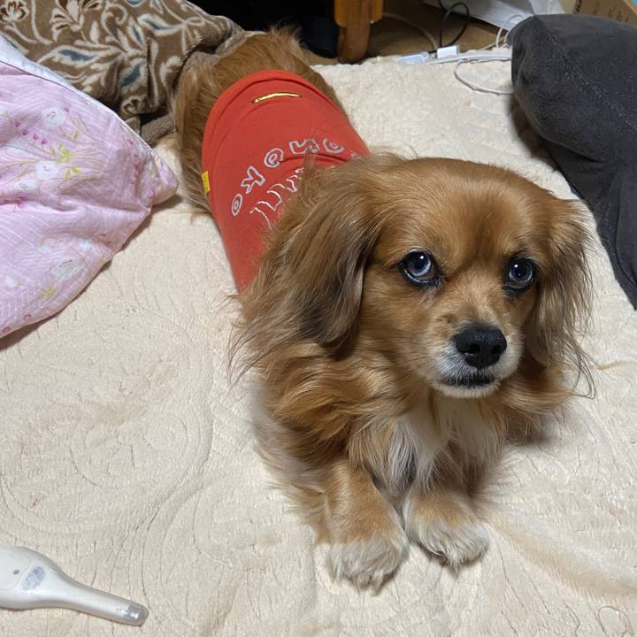 9b764a31 cd3d 4109 8140 0b8c0bd30c87 1671833938795