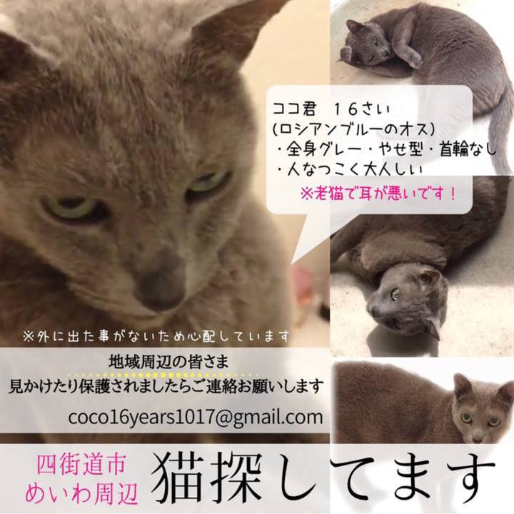 9b76bd4c 768a 44f3 bb0e 27552972bfb6 1511005063982