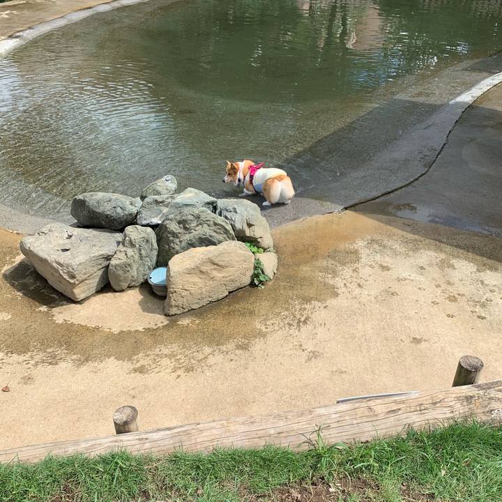 9b770b91 9478 4592 8930 2d47f93da1f3 1600151165928