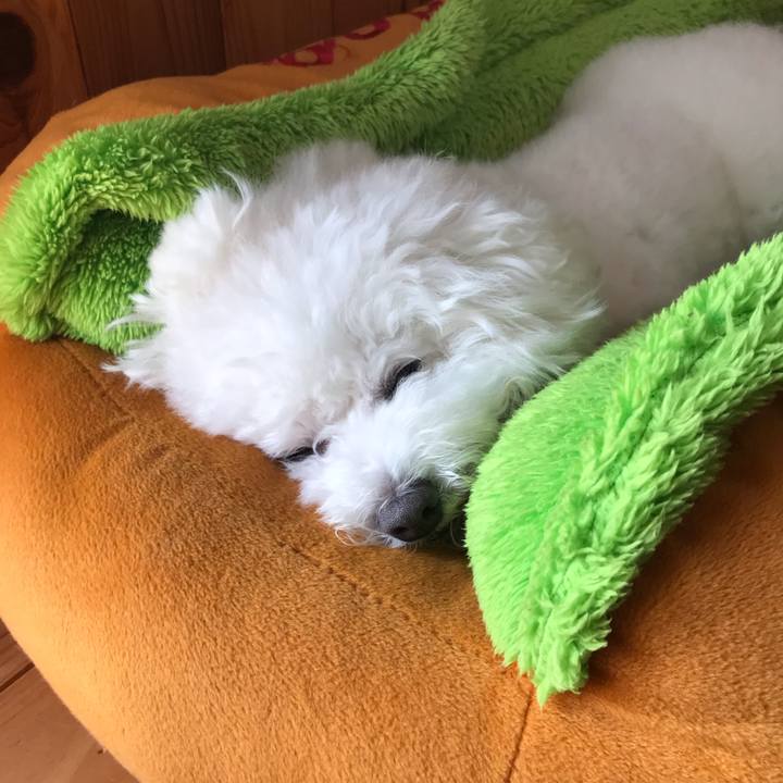 9b7734ae 536d 496b 9f9d de62d1645354 1570413308255