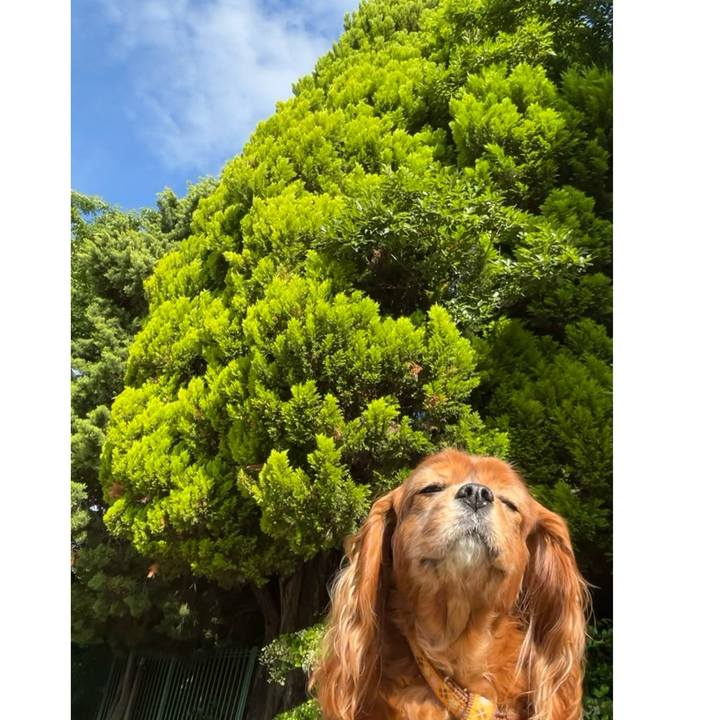 9b7795e8 265a 497c a02a f11a824a6bb8 1717369955014