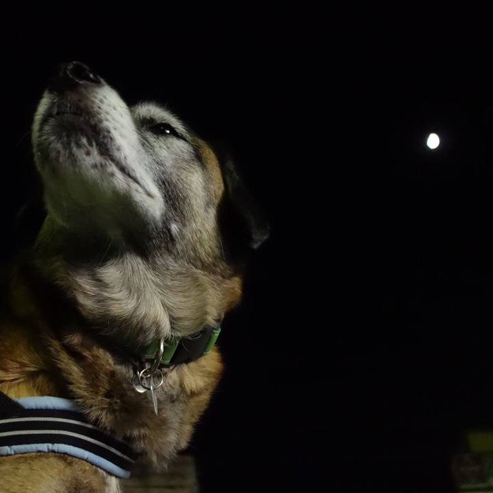 9b77a964 331f 4850 a4b0 40d89cd80d88 1544881252337