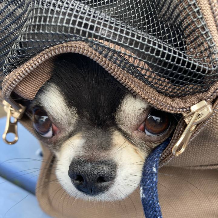 9b77daef 4616 4c84 9da4 4d83c2f898b5 1644891434299