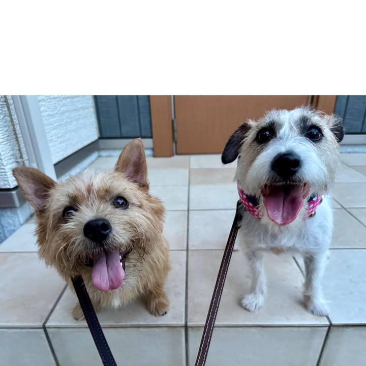 9b77e0ff 562b 4a86 80e7 e7cb398e17be 1752870471929