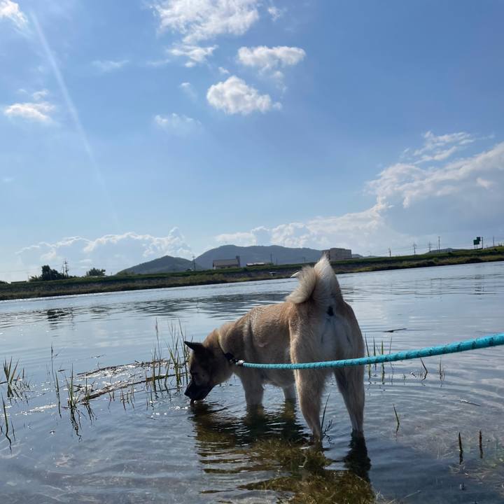 9b77e45a cd01 4ba4 8ff8 304219ff1c4f 1697371004961