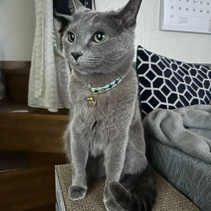 9b7807af df41 49b5 99f7 9d60be069e88 1711924369407