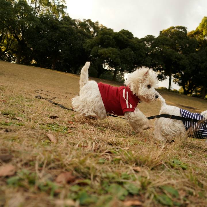 9b784689 e624 48f3 91a9 822674196f58 1512213575028