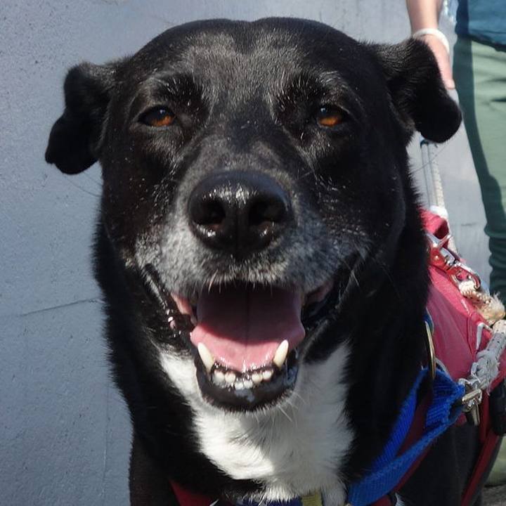 9b785d6a df5a 4f72 ad81 6491a68580f4 1686098813695