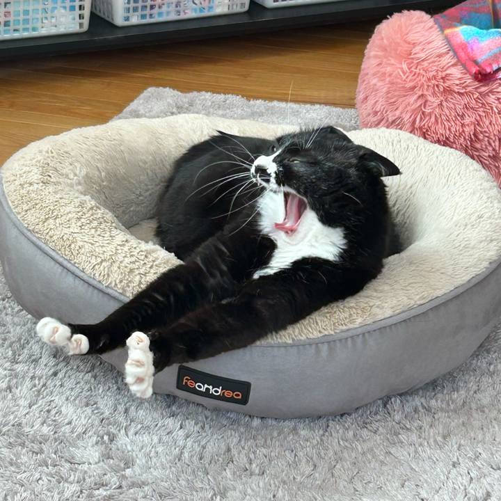 9b786264 cbe4 4ad8 98df 4d317b5d02c0 1767322519705