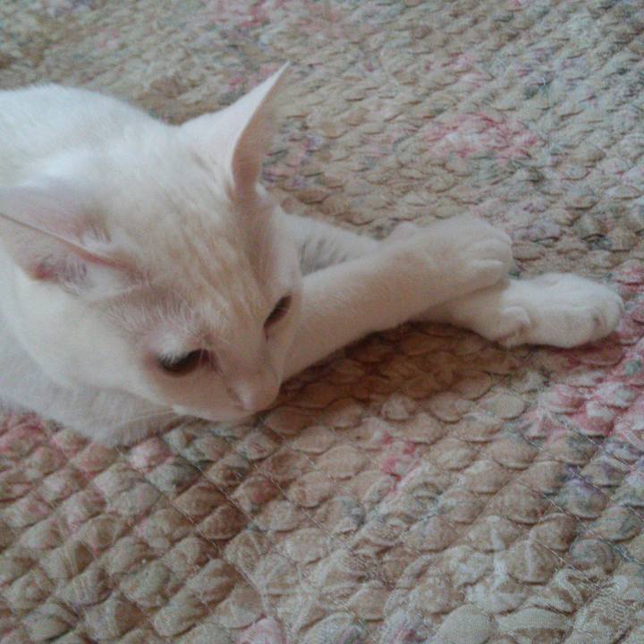 9b787849 e85f 4828 abc8 e9ef94e921ee 1509761767504