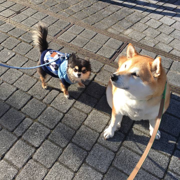 9b787e0f 2e7c 486d 8179 11011443aeb8 1642495913486